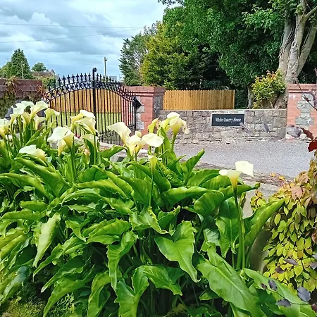White Quarry House Homestay *