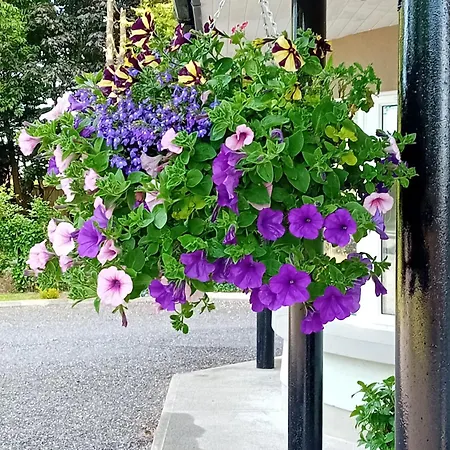 Accommodatie bij particulieren White Quarry House *