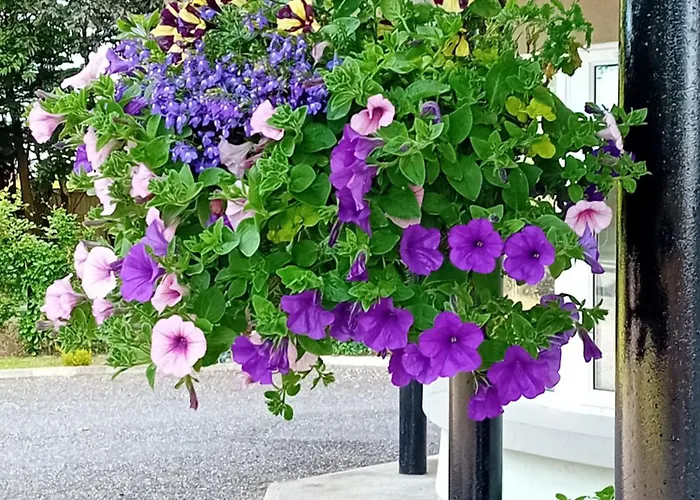 Accommodatie bij particulieren White Quarry House *